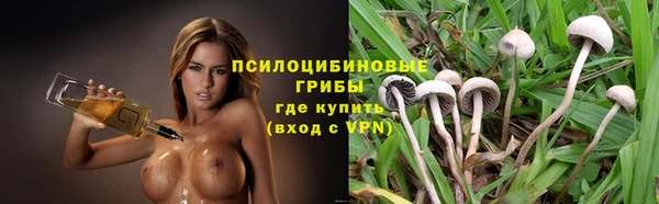 герыч Алзамай
