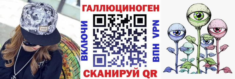 Галлюциногенные грибы Psilocybe  купить наркотик  Курлово 